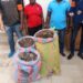 Côte d’Ivoire : Deux trafiquants interpellés à Yopougon avec 122 kg d’écailles de pangolins