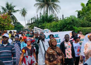RHDP: Les raisons de la manifestation des militants devant le siège