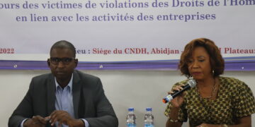 Entreprise et Droits de l&rsquo;homme: le CNDH met en place des pôles de gestion des requêtes
