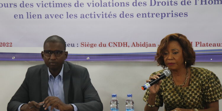 Entreprise et Droits de l’homme: le CNDH met en place des pôles de gestion des requêtes