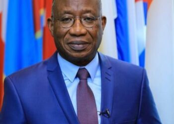 Côte d&rsquo;Ivoire/Nomination au gouvernement: Tout savoir sur Kacou Adom et Roger Dah