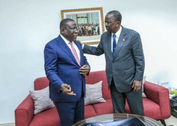 RHDP dans le V Baoulé: Ahoussou disposé à aider Bacongo à «débroussailler le terrain»