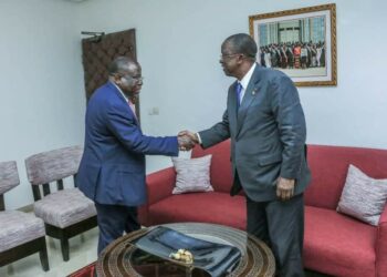 RHDP dans le V Baoulé: Ahoussou disposé à aider Bacongo à «débroussailler le terrain»