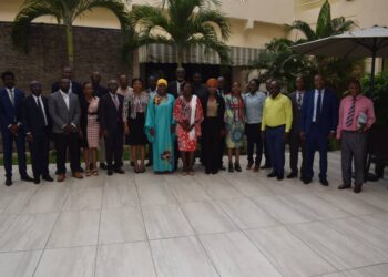 Espace Cedeao: Les experts valident un projet de règlement technique régional sur le plomb dans la peinture