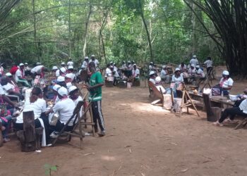 JCI/Lutte contre le cancer du sein: La Cellule genre du Sénat édifiée