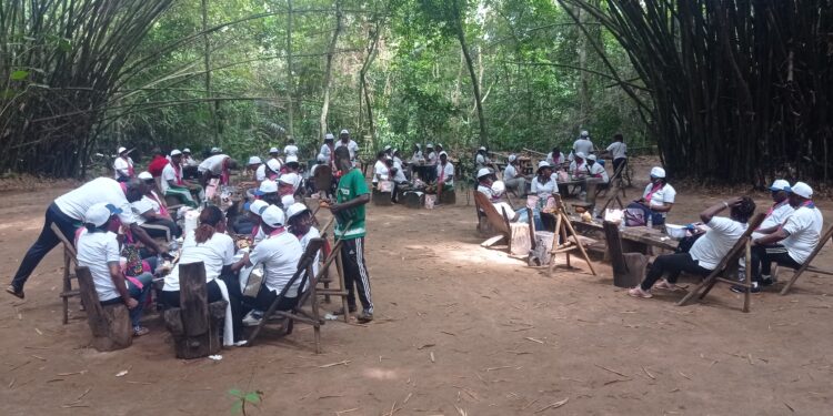 JCI/Lutte contre le cancer du sein: La Cellule genre du Sénat édifiée