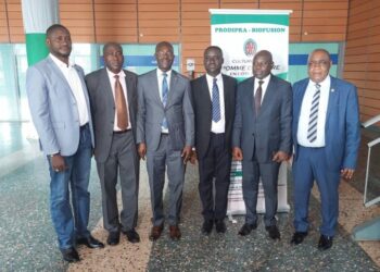 Production de la  pomme de terre:  un second souffle pour booster cette culture 