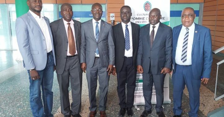 Production de la  pomme de terre:  un second souffle pour booster cette culture 