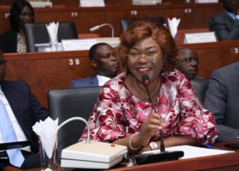 Budget 2023/Ministère du Plan: le sénat valide plus de 27 milliards Fcfa, les actions prévues 