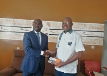 Cérémonie d’hommage aux 49 soldats : Affi, PPACI et Bacongo invitent à la mobilisation