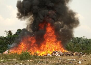 Aboisso : la Douane détruit plus de 46T de marchandises prohibées