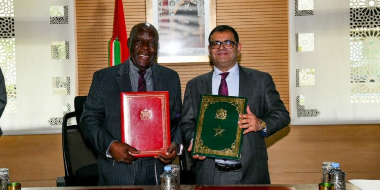 Sahara : L’Institut panafricain pour le développement s’installe à Dakhla