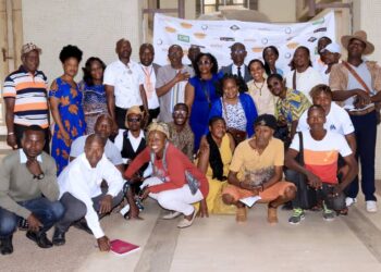 Yamoussoukro/Statut de l’artiste en Côte d’Ivoire: Le texte vulgarisé    