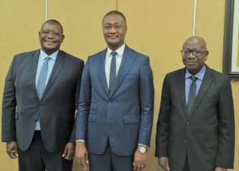 Côte d&rsquo;Ivoire: le projet de digitalisation de la patente lancé
