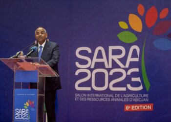 Achi : le SARA 2023 « sera un temps de débats approfondis »