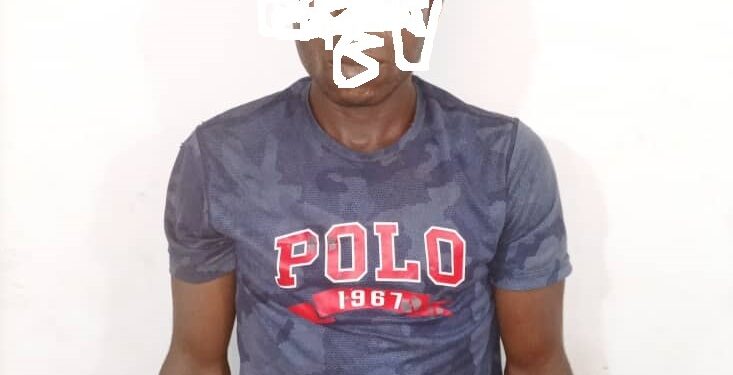 Meurtre d’un pisteur d’anacarde à Béoumi: Le présumé assassin arrêté