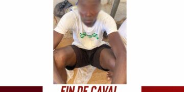 La police interpelle un jeune recherché pour vol dans une agence de transfert d&rsquo;argent