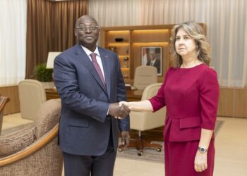 Le Vice-Président de la République a échangé avec l’Ambassadeur de Türkiye en Côte d’Ivoire