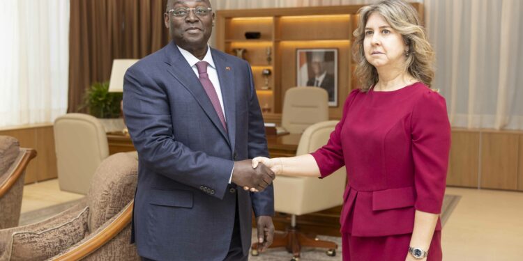 Le Vice-Président de la République a échangé avec l’Ambassadeur de Türkiye en Côte d’Ivoire