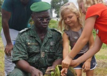Côte d&rsquo;Ivoire/Protection de l’environnement: L’Inad-ci organisera un planting d’arbre les 25 et 29 avril