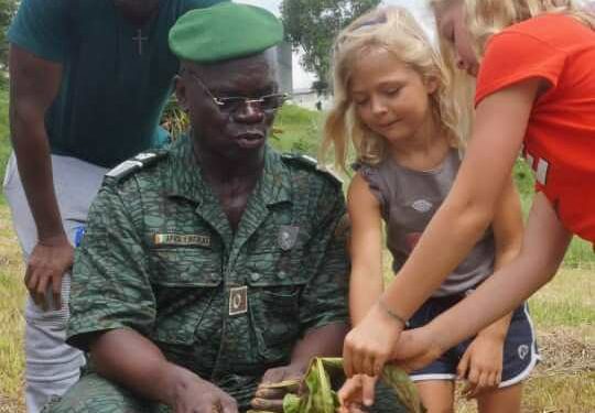 Côte d’Ivoire/Protection de l’environnement: L’Inad-ci organisera un planting d’arbre les 25 et 29 avril