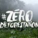 Union Européenne : Une étape importante vers un commerce « zéro déforestation »