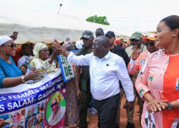 Régionales et Municipales:Depuis Gagnoa, Bacongo promet une large victoire du RHDP dans le Gôh