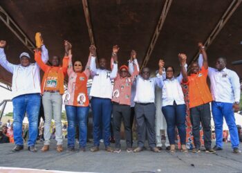 Régionales et Municipales:Depuis Gagnoa, Bacongo promet une large victoire du RHDP dans le Gôh