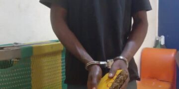 Yamoussoukro/Un livreur de drogue sur les sites d’orpaillage clandestin arrêté