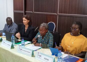 IFADEM-PAPDES: Les versions améliorées des plateformes de formation validées