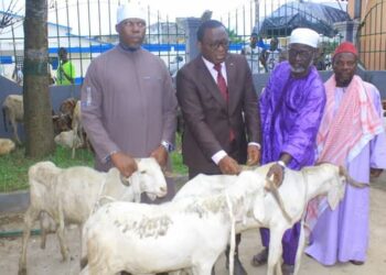 Tabaski 2023: le ministre Danho Paulin a offert 400 béliers aux musulmans