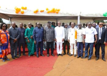 Régionales dans le Bélier: Le Porte-parole de Bédié apporte son soutien à Ahoussou