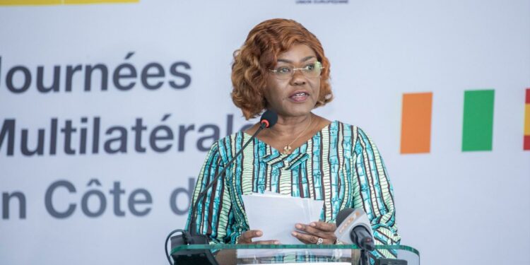 Opportunités d’affaires en Côte d’Ivoire : Kaba Nialé tend la perche aux investisseurs espagnols