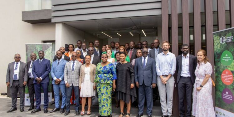 Lutte contre la déforestation liée à la cacaoculture: L’ICF évalue les progrès réalisés