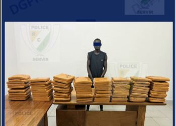 Aboisso: 80 KG de Cannabis d&rsquo;une valeur de 2.000.000 FCFA saisis