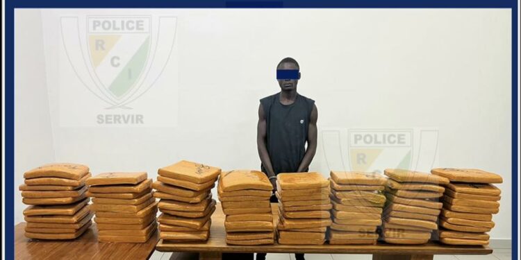 Aboisso: 80 KG de Cannabis d’une valeur de 2.000.000 FCFA saisis