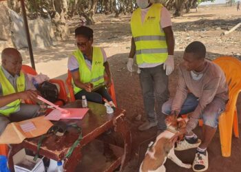 Lutte contre la Rage: vaccination gratuite des animaux du 17 au 21 juillet à Daloa et Vavoua