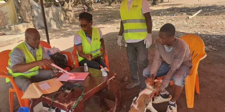 Lutte contre la Rage: vaccination gratuite des animaux du 17 au 21 juillet à Daloa et Vavoua