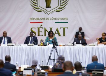 Sénat/Chantal Fanny (Vice-présidente : « le Sénat travaille à prendre en compte les intérêts des territoires décentralisés »