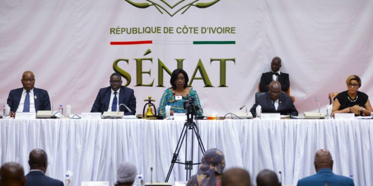 Sénat/Chantal Fanny (Vice-présidente : « le Sénat travaille à prendre en compte les intérêts des territoires décentralisés »