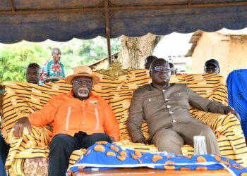 Municipales et régionales 2023/Gôklè: Amédé Kouakou présente les avantages de voter pour le RHDP