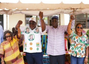 Régionales dans le Bélier : Ce que les populations de Djekanou demandent à Ahoussou pour don élection