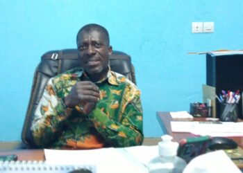 Soubré: Une épidémie de peste porcine sévit à Soubré, 38 bêtes abattues