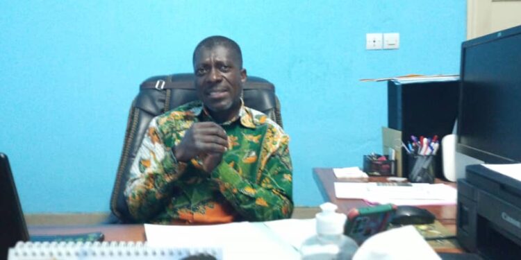 Soubré: Une épidémie de peste porcine sévit à Soubré, 38 bêtes abattues