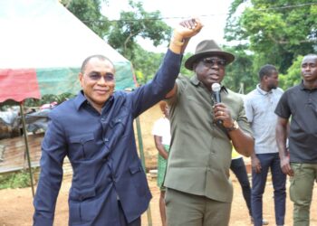 Régionales et municipales 2023: Amédé dans le N&rsquo;zi pour soutenir les candidats RHDP