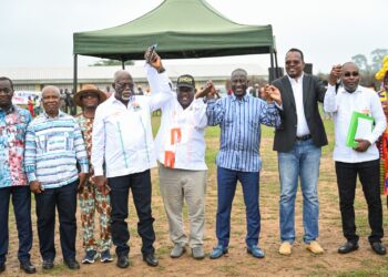 régionales 2023: Bictogo à Sassandra pour soutenir le candidat du Rhdp