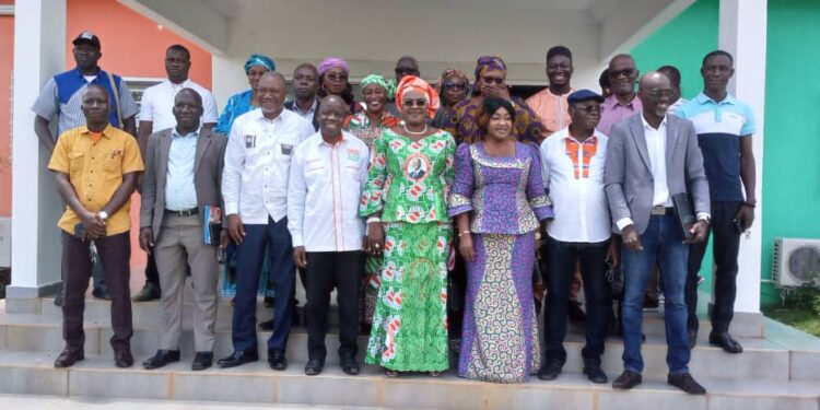 Défaite du RHDP à Yamoussoukro: Des cadres locaux du parti au banc des accusés