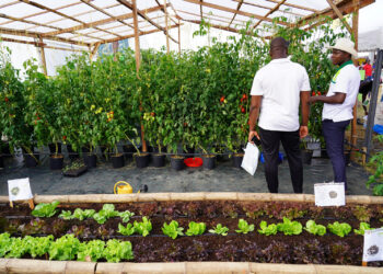 Agriculture et Ressources halieutiques : le gouvernement mobilise 78 milliards FCFA pour la prise en charge de 36 000 jeunes en 2023