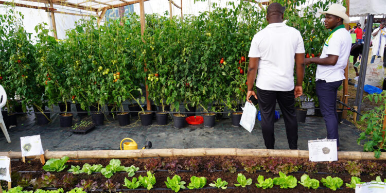 Agriculture et Ressources halieutiques : le gouvernement mobilise 78 milliards FCFA pour la prise en charge de 36 000 jeunes en 2023