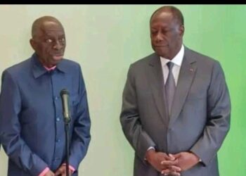 Côte d&rsquo;Ivoire : Ce que le président intérimaire du PDCI a dit au président Ouattara